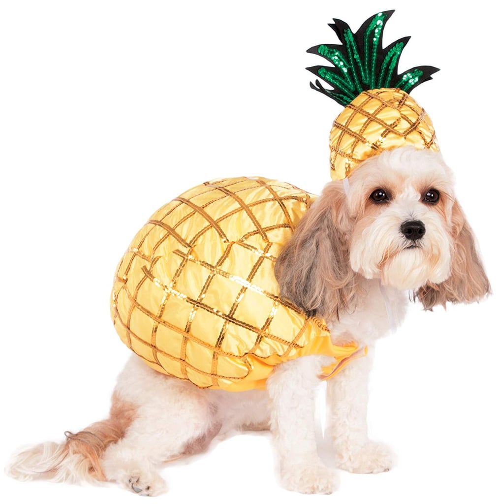 Pineapple Pet Costume