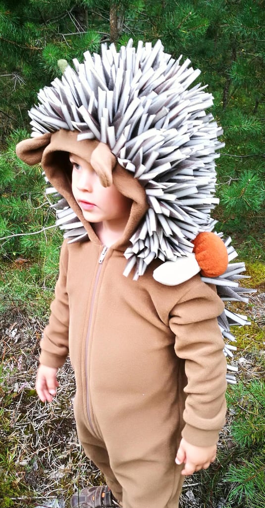 Divendi Hedgehog Costume | Halloween Costumes Kids Can Wear All Year ...