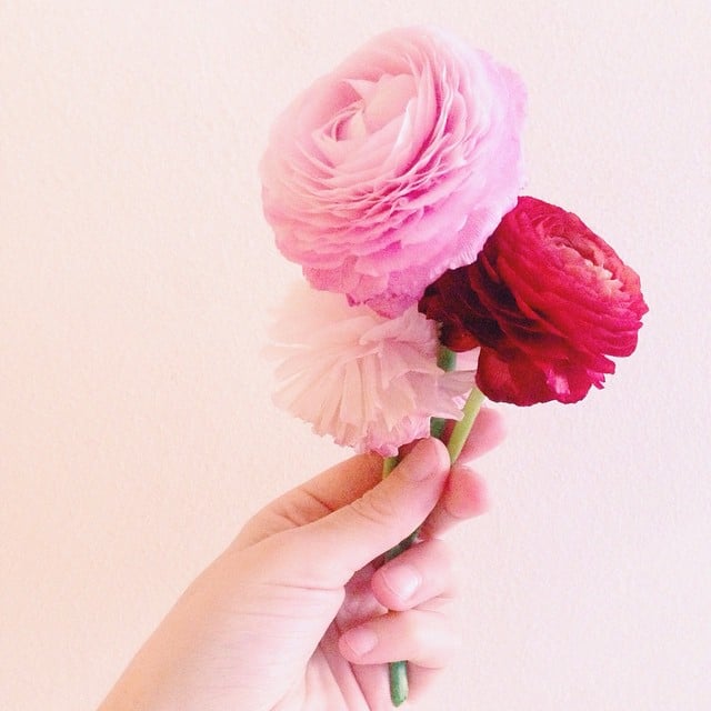 This color combination is oh so feminine. 
Source: Instagram user martamaze