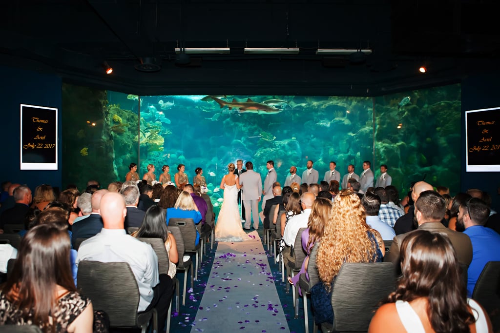Aquarium Wedding POPSUGAR Love & Sex Photo 40