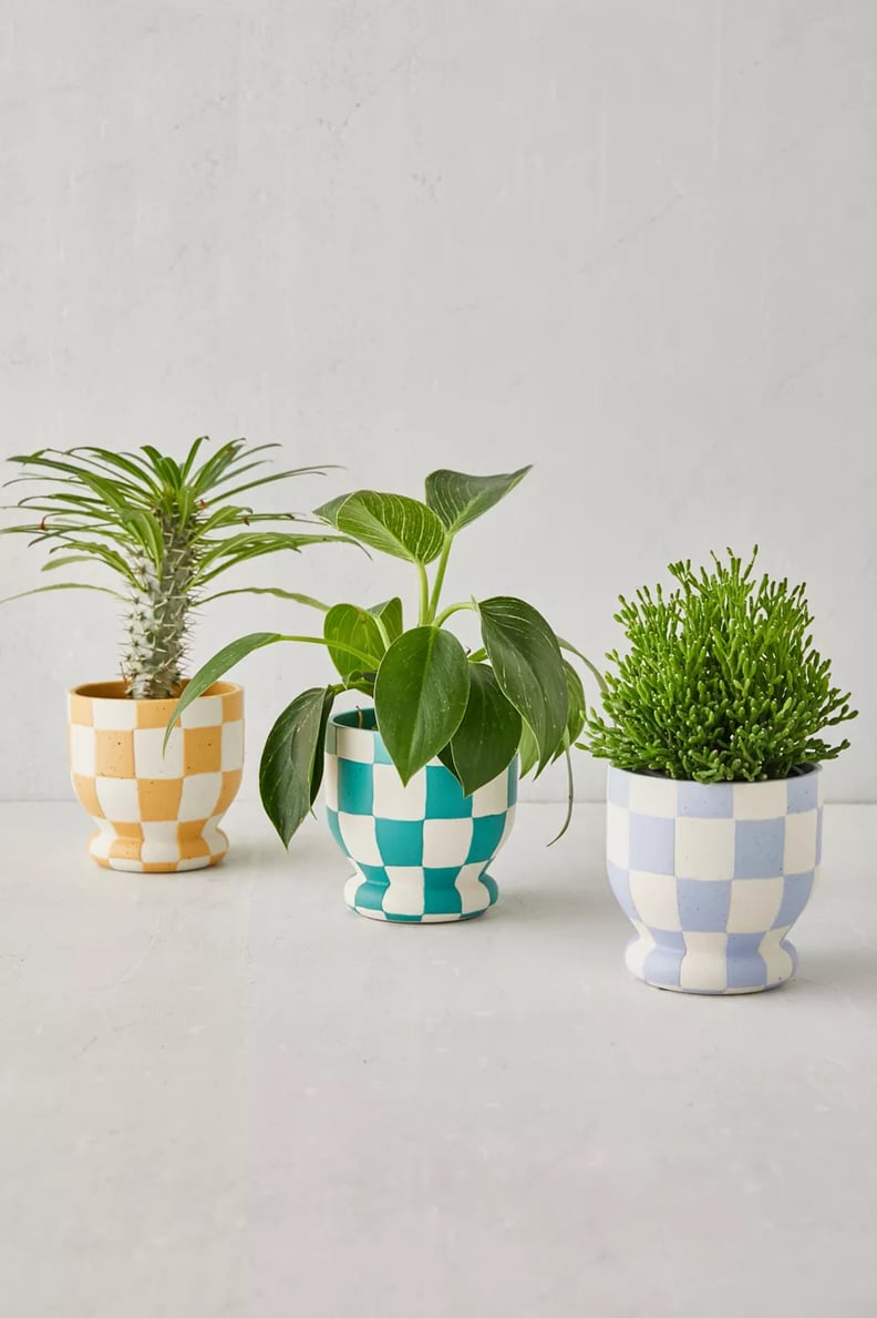 A Pop of Color: Frankie Planter