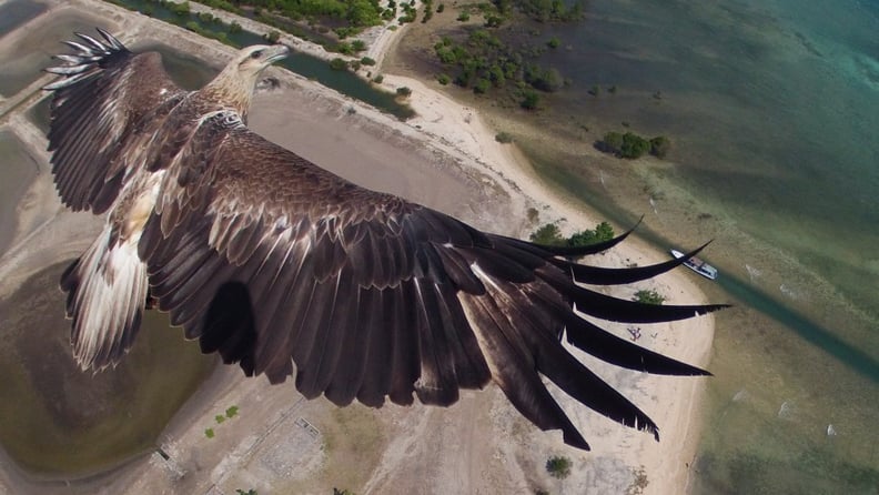 Bali Barat National Park, Indonesia — First Prize