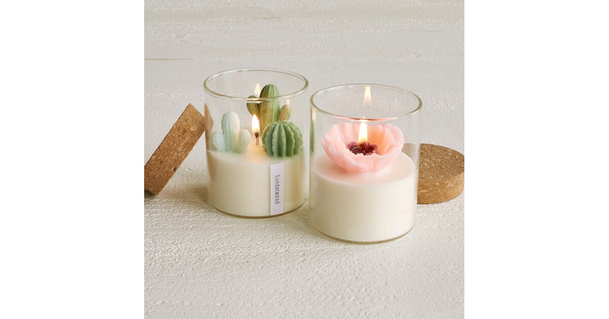 Goods Zoe Tang Terrarium Candle Best Indoor Gardening Gifts