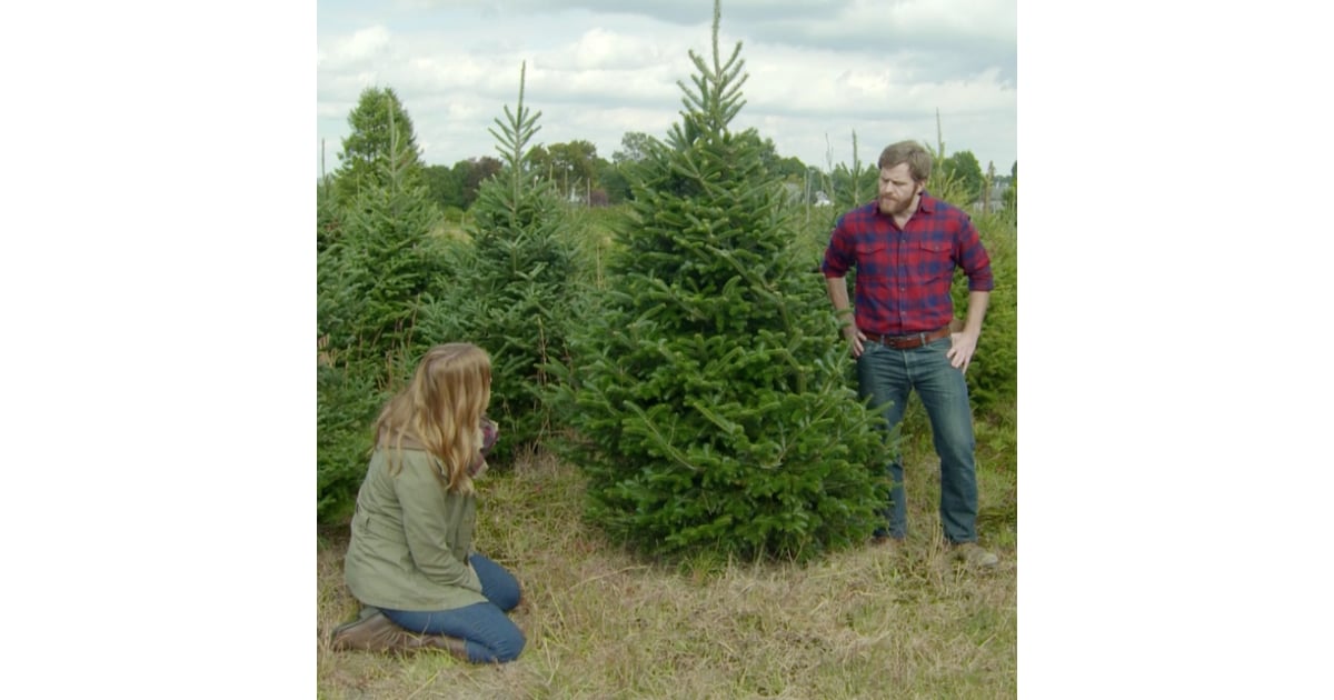 Hgtv Holiday Tree Hunters Video Popsugar Home