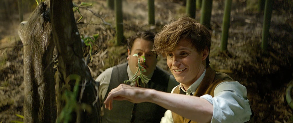 Fantastic Beasts and Where to Find Them Pictures