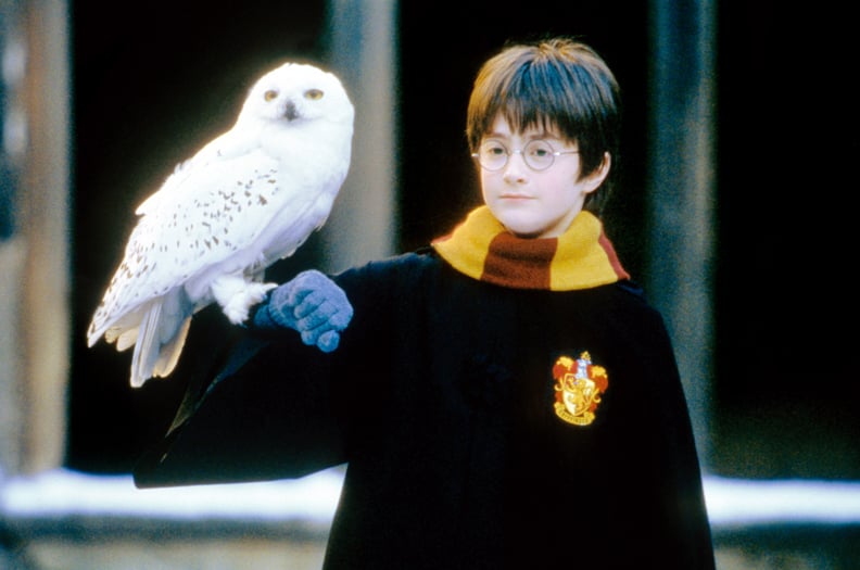Hedwig from Harry Potter and the Sorcerer’s Stone