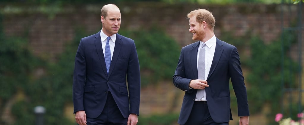 Prince Harry and Prince William Meet Diana Award Recipients