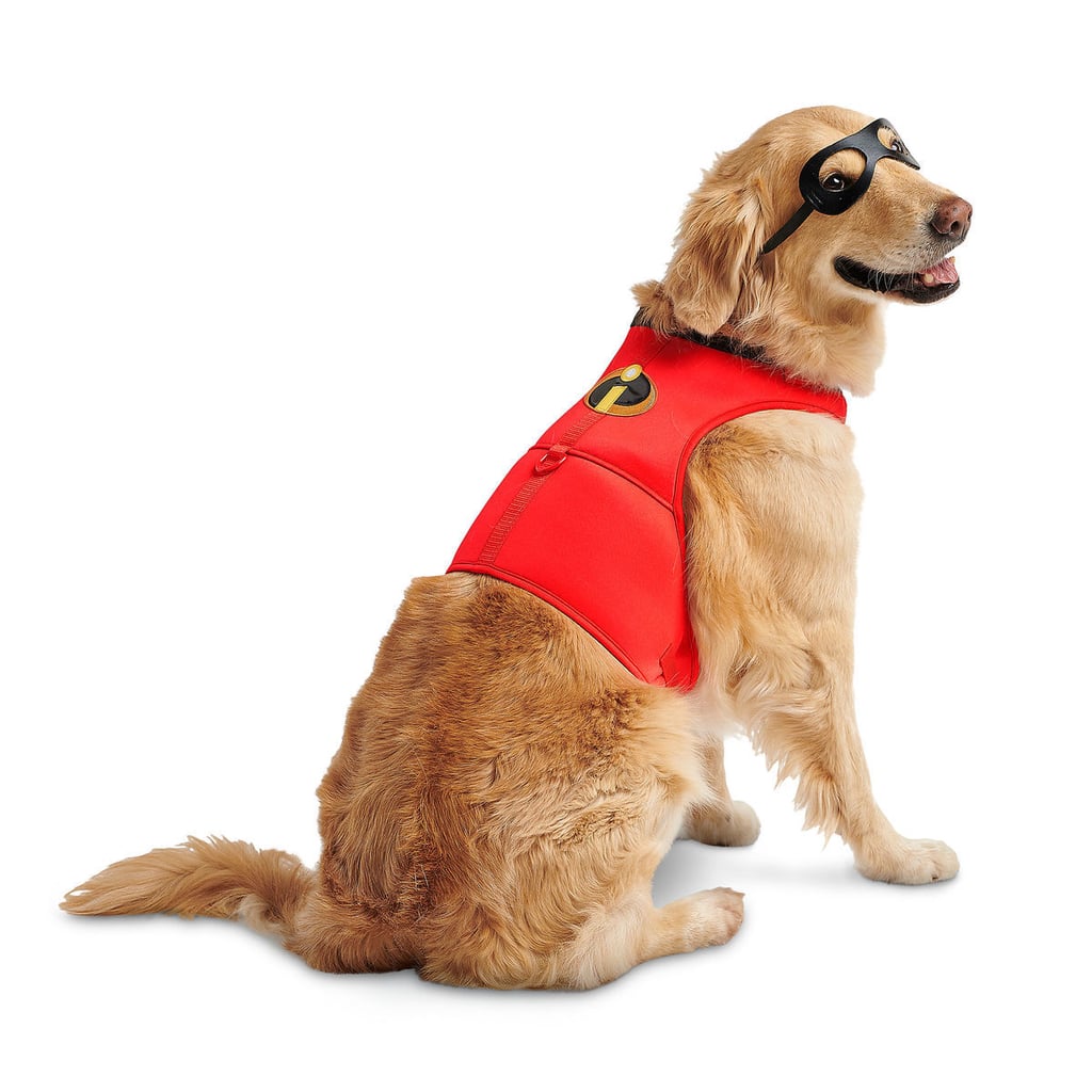 Incredibles 2 Pet Costume