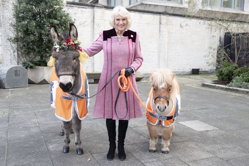 Camilla Parker Bowles at Brooke Action Charity Event December 2018