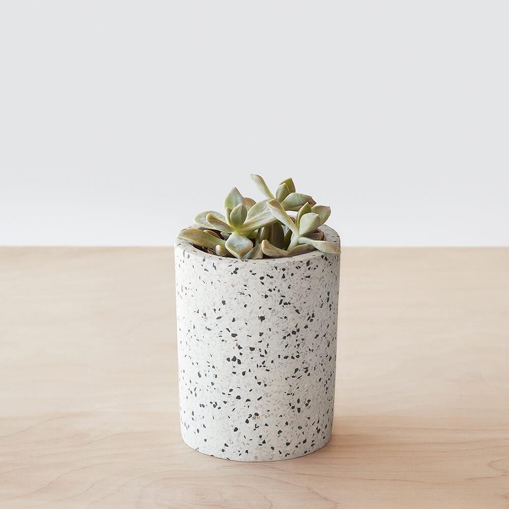 The Citizenry Terrazzo Vessel