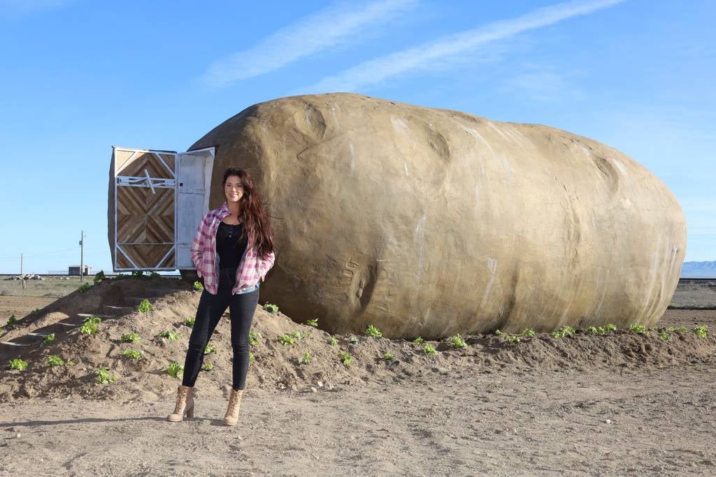 The Big Idaho Potato Hotel Airbnb