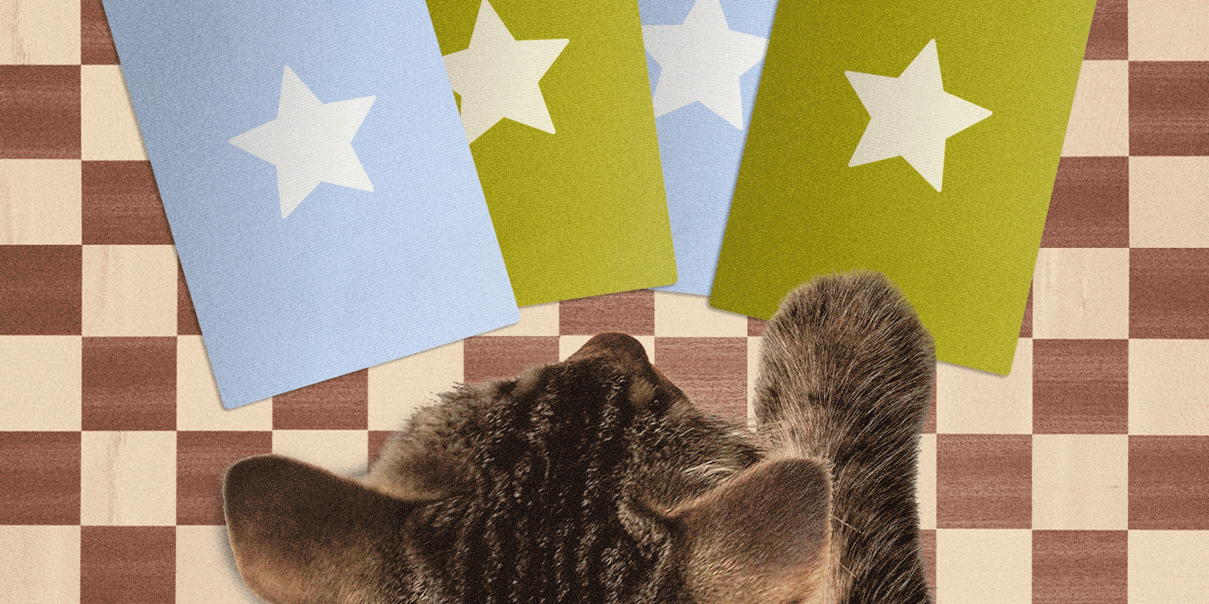 Attention Cat Lovers: There's a New Board Game Inspired By Your Favorite Thing (Your Cat)