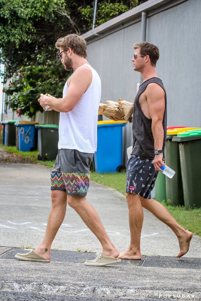 Chris and Liam Hemsworth in Australia December 2015