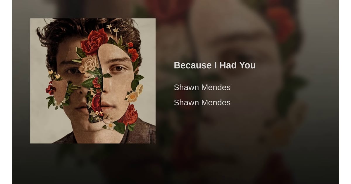 "Because I Had You" by Shawn Mendes Best Breakup Songs of 2018