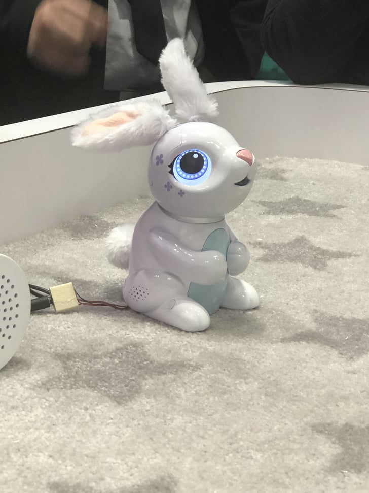 Zoomer hungry outlet bunny target