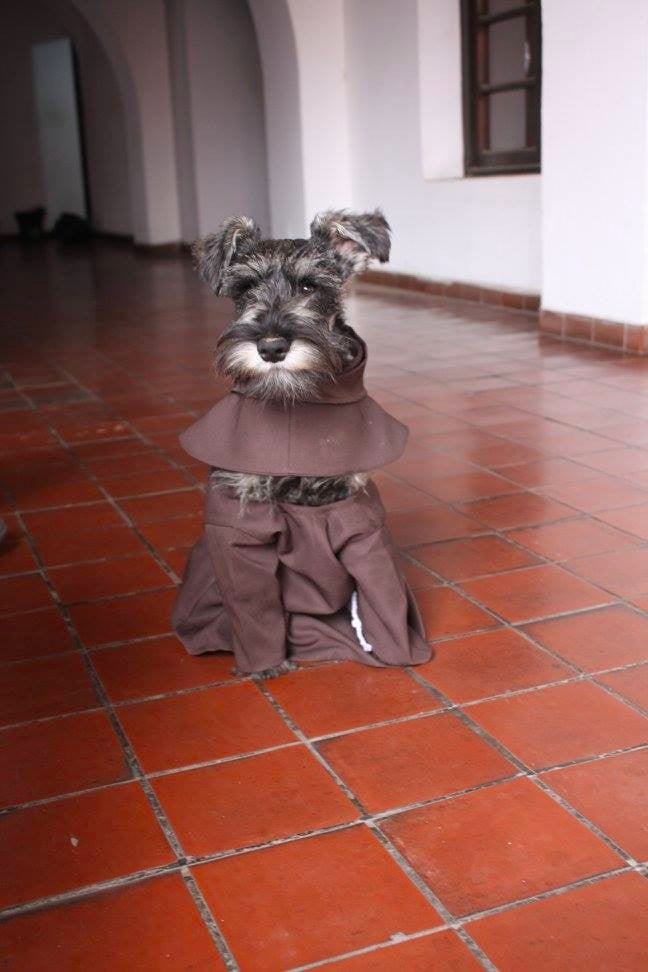 Dog Adopted by Monastery in Bolivia