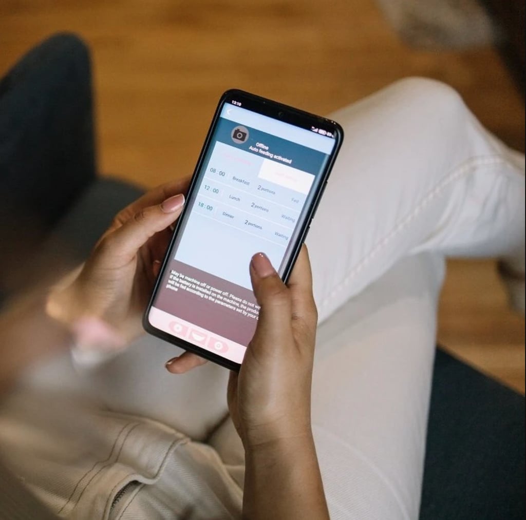 WOpet Automatic Pet Feeder Review POPSUGAR Pets