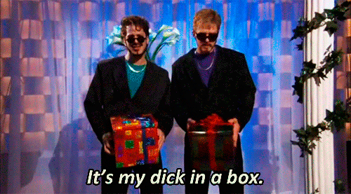 The "D*ck in a Box" Guys