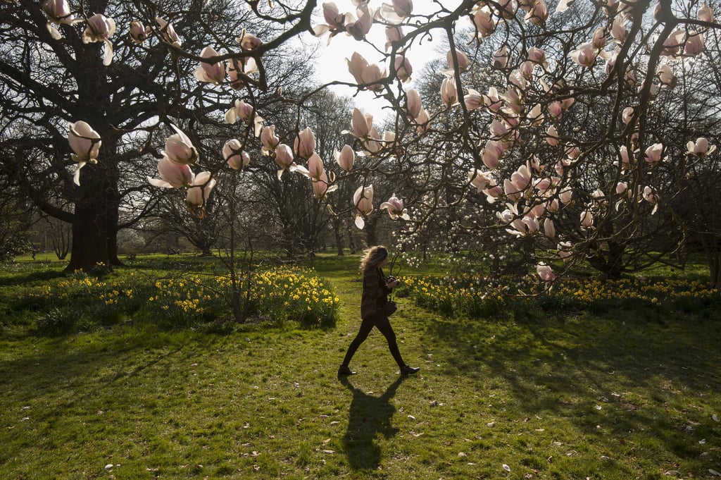 Pictures of England's Bank Holiday April 2015