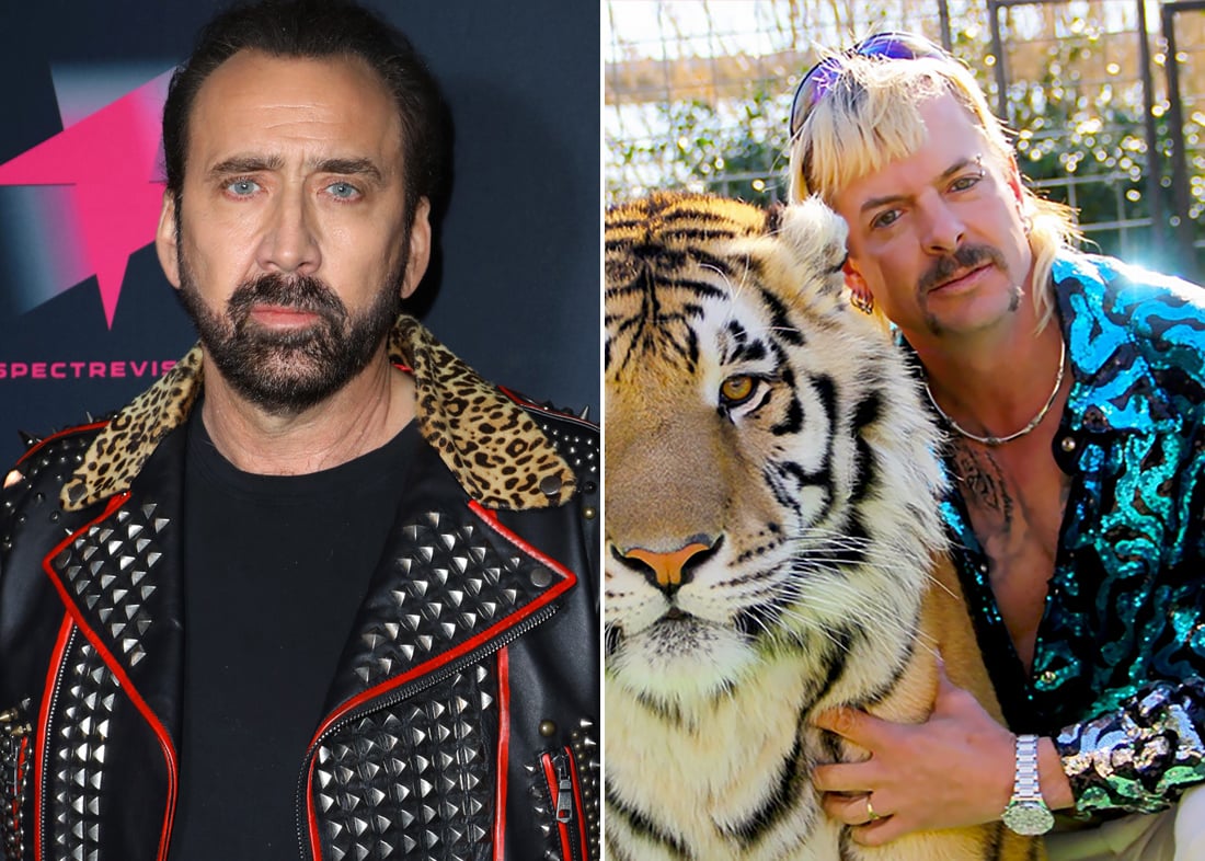 Nicolas Cage Cast As Joe Exotic In A Tiger King Series Popsugar Entertainment