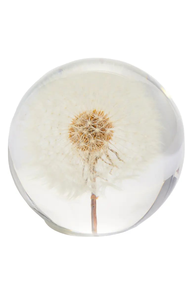 Weight of the World: Dauphinette Dandelion Paperweight