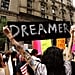 Government Leaders Who Support DACA
