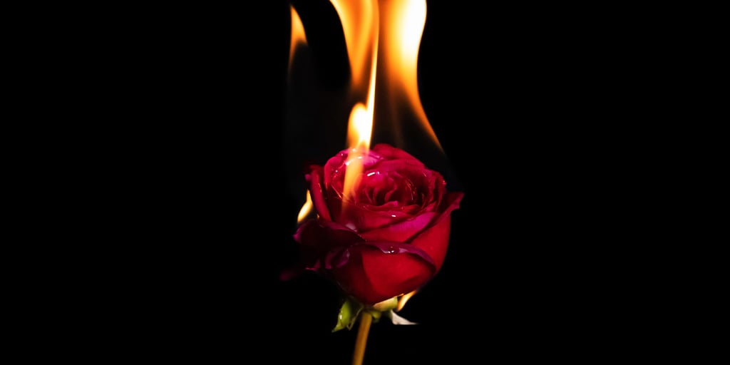 How "Spicy" Books Helped Their Sex Lives