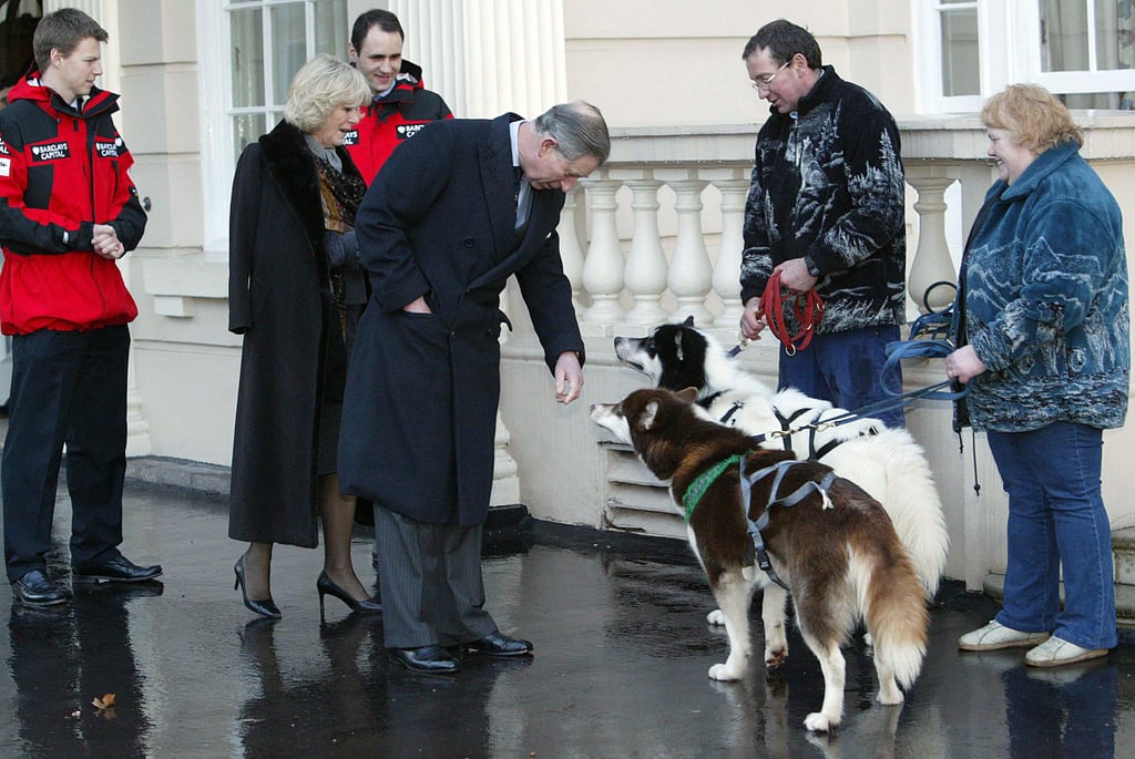 Photos of Prince Charles With Animals