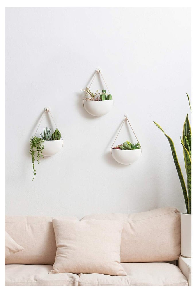Green Naturals OneWall Hanging Planters (Set of 3)