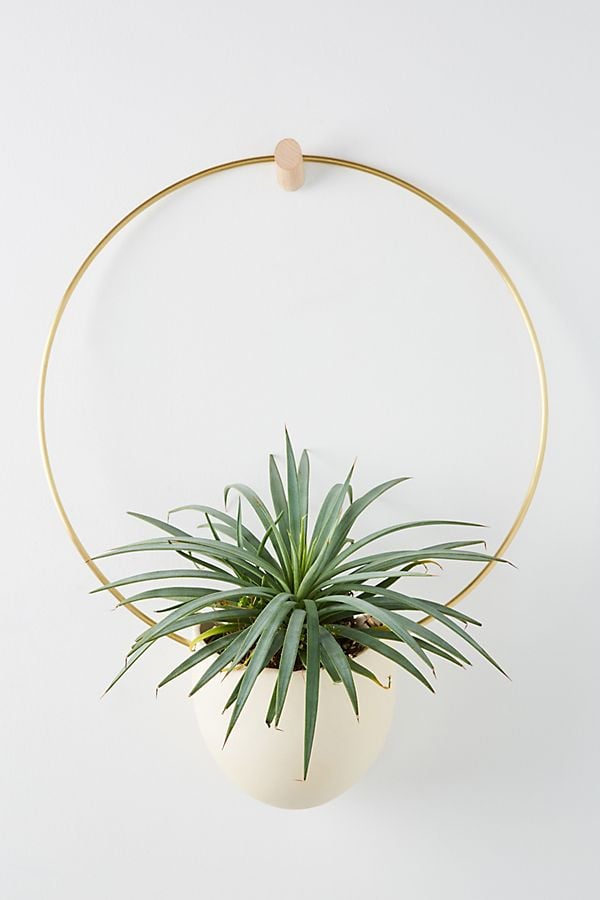 Brass Spora Hanging Planter