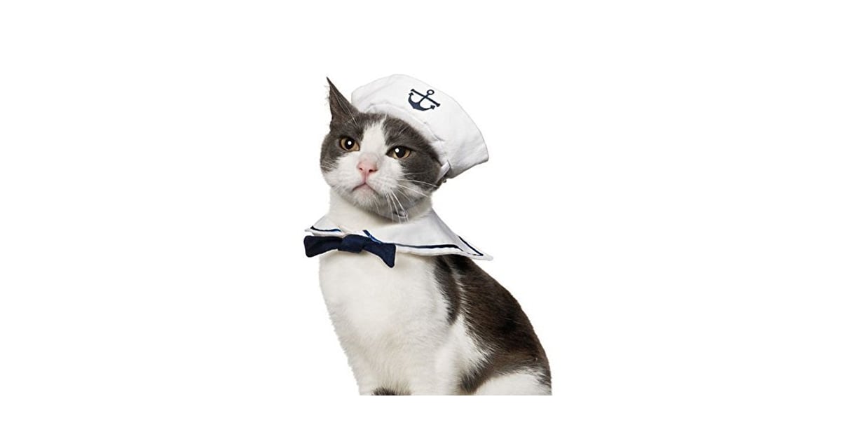sailor cat collar and hat costume