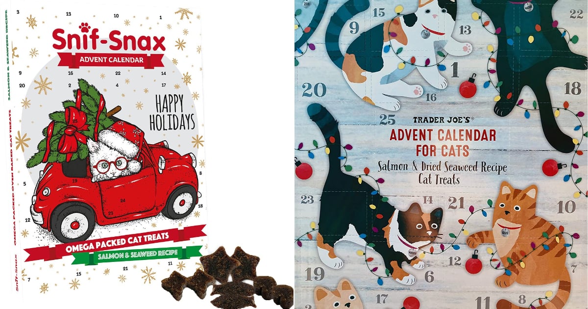 Advent Calendars For Cats 2020 PS Pets