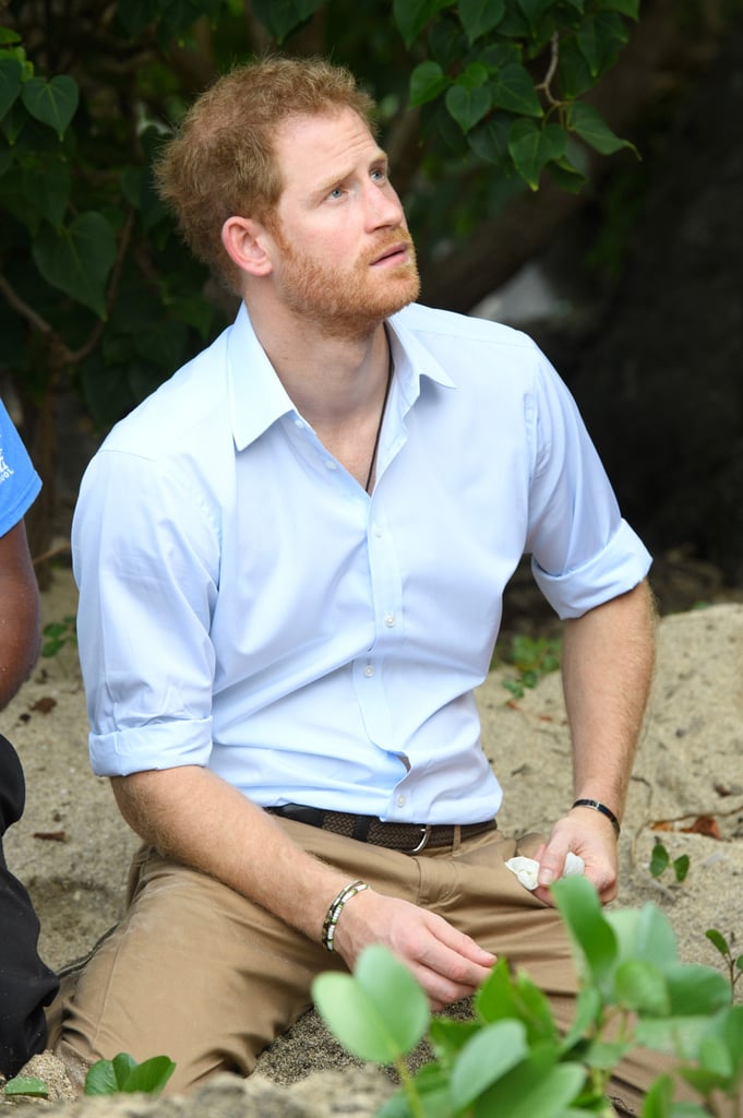 Prince Harry With Turtles in the Caribbean 2016
