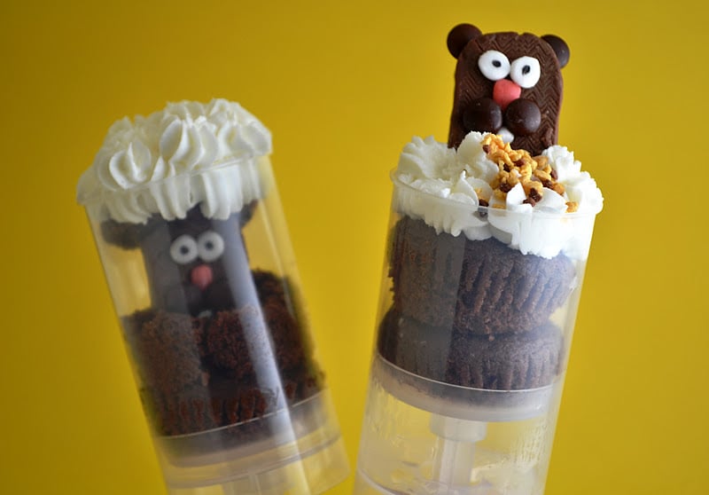 Pushable Groundhog Pops