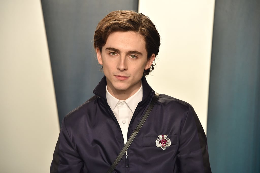 Post Fictusrex Timothee Chalamet Fakes Hot Sex Picture