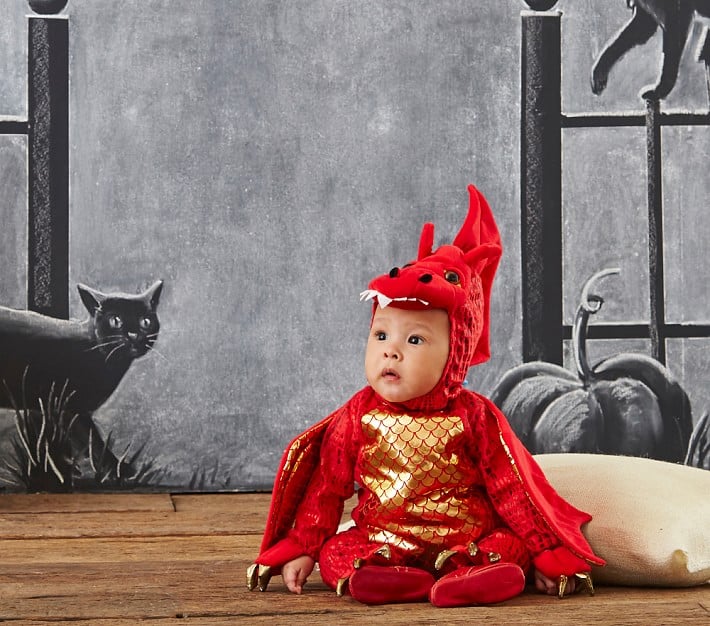 Baby Dragon Costume Pottery Barn Costumes For Babies POPSUGAR Moms