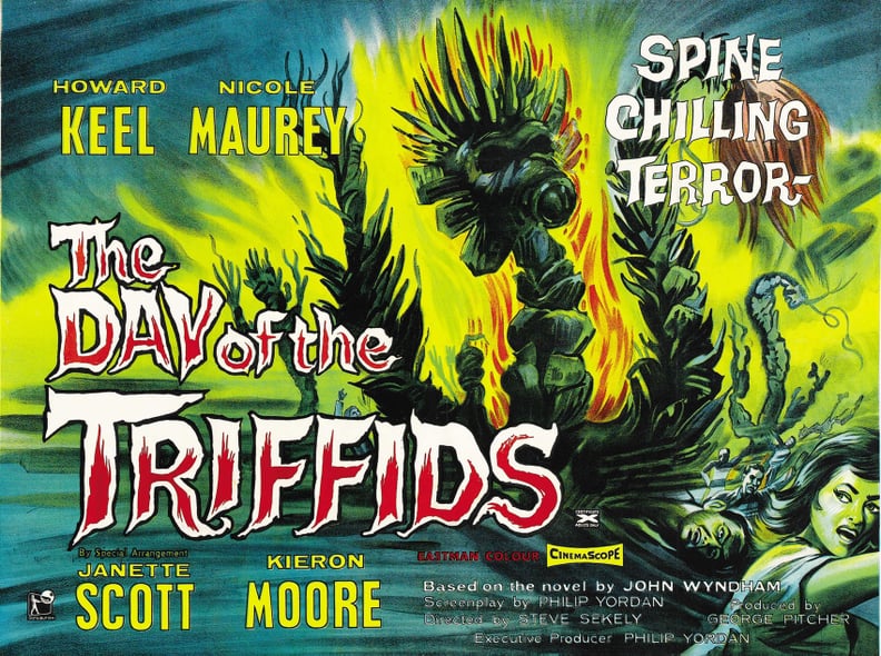 Day of the Triffids (the 1980s series)