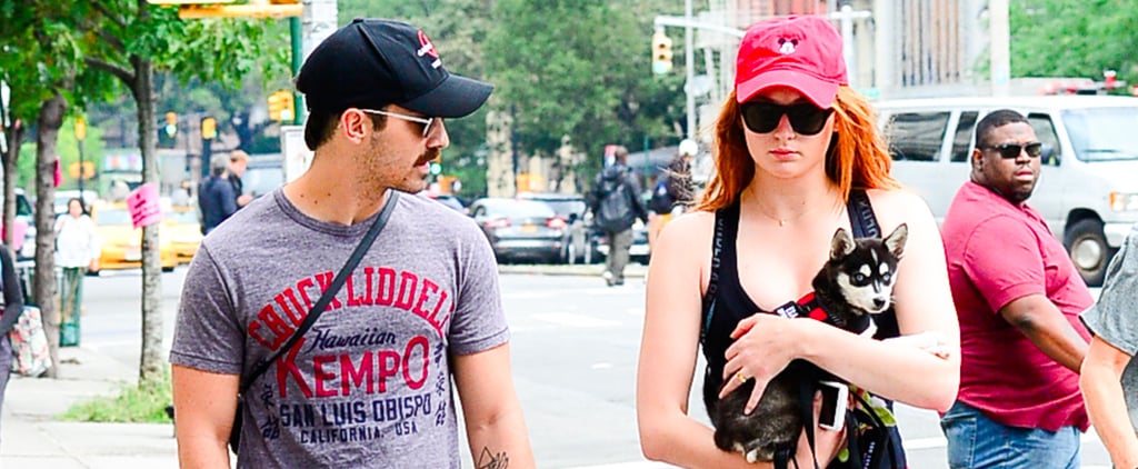 Sophie Turner and Joe Jonas Out With Their Dog