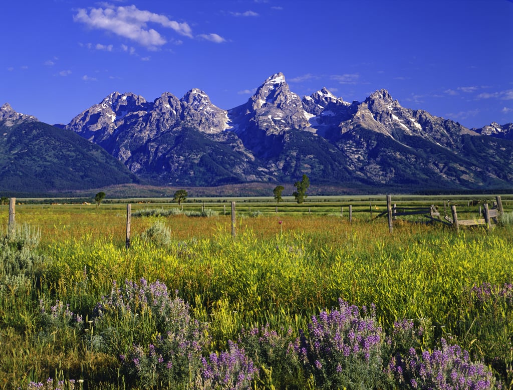 Jackson Hole, Wyoming