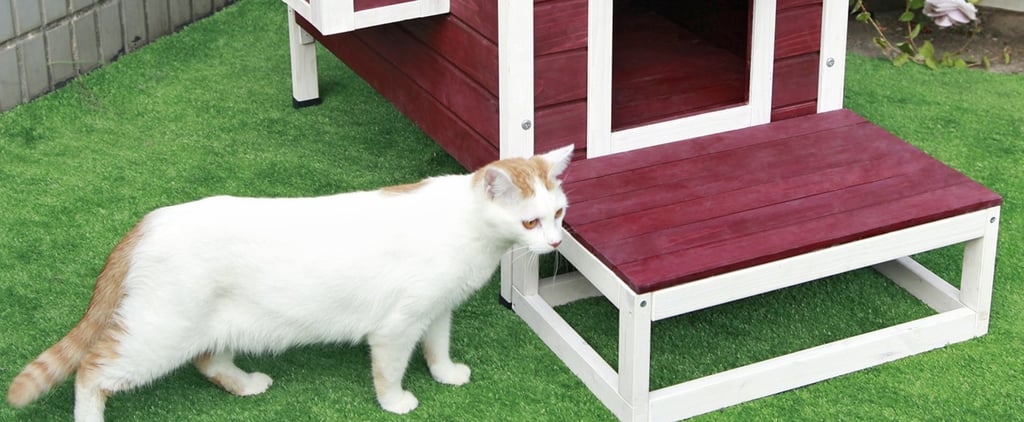 Petsfit Weatherproof Outdoor Cat Condo on Amazon
