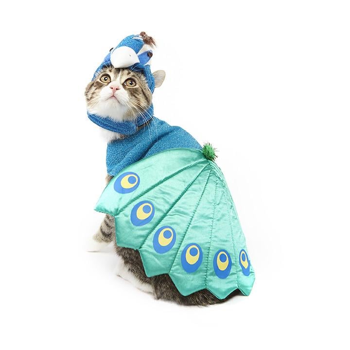 Peacock Cat Costume