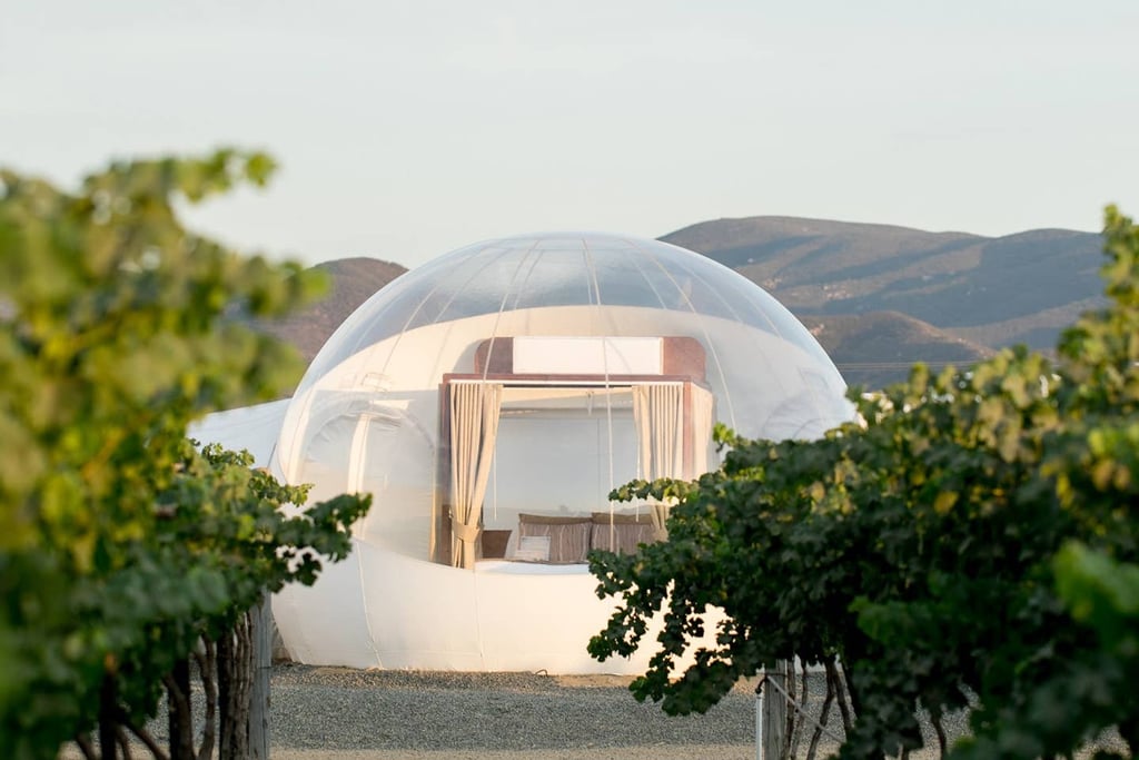 Campera Hotel Bubble Suite in Valle de Guadalupe