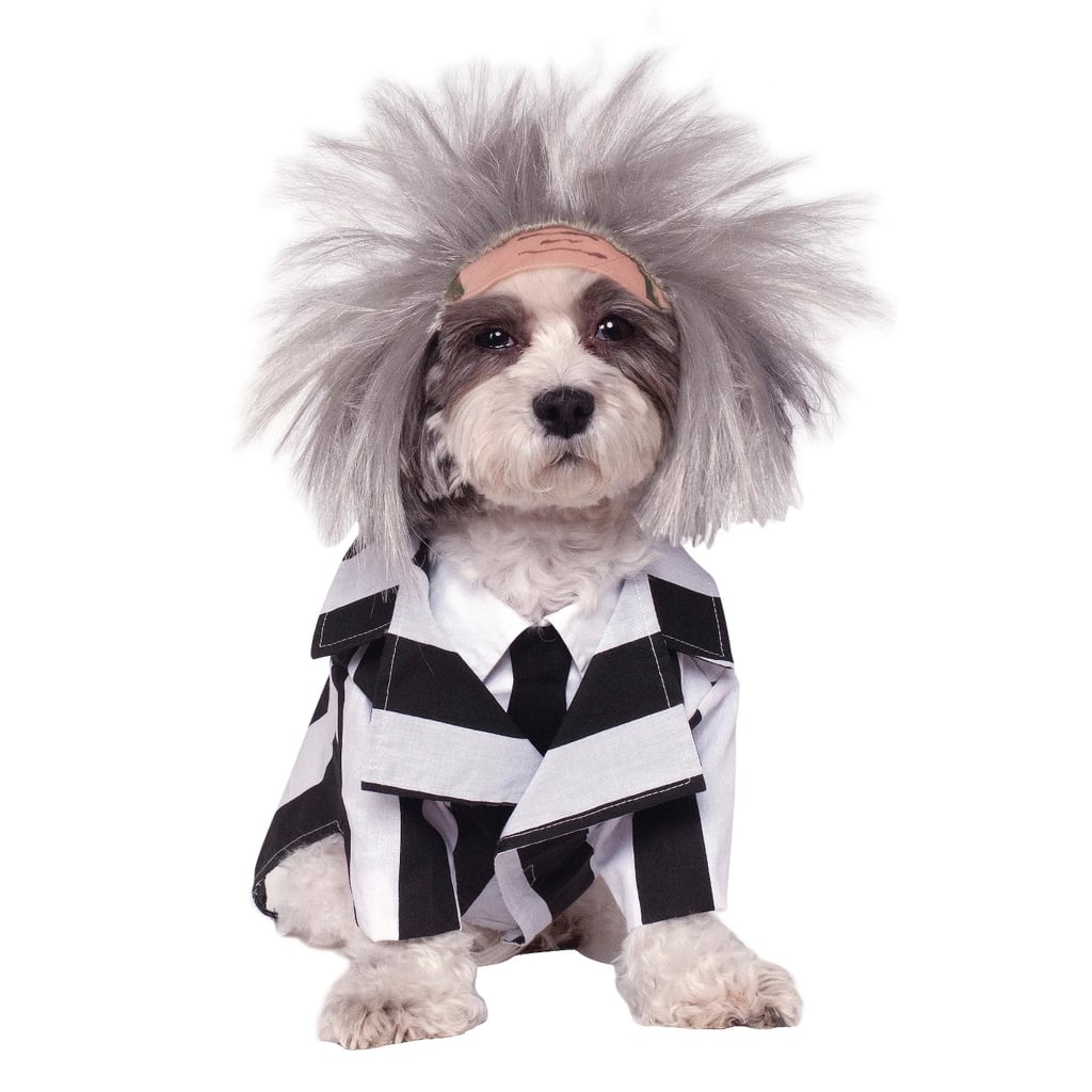 Beetlejuice Dog Costume