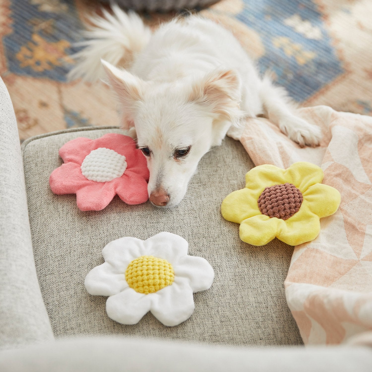 Easter clearance dog toys