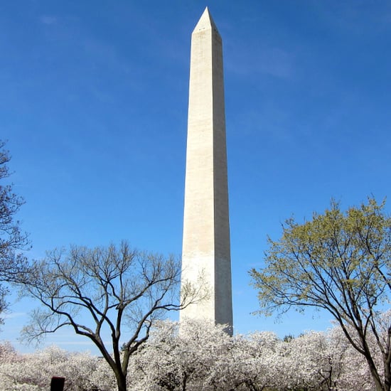 Visiting the Washington Monument With Kids