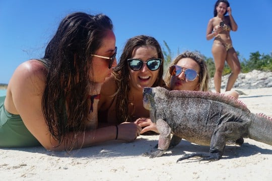 What Happened at Fyre Festival