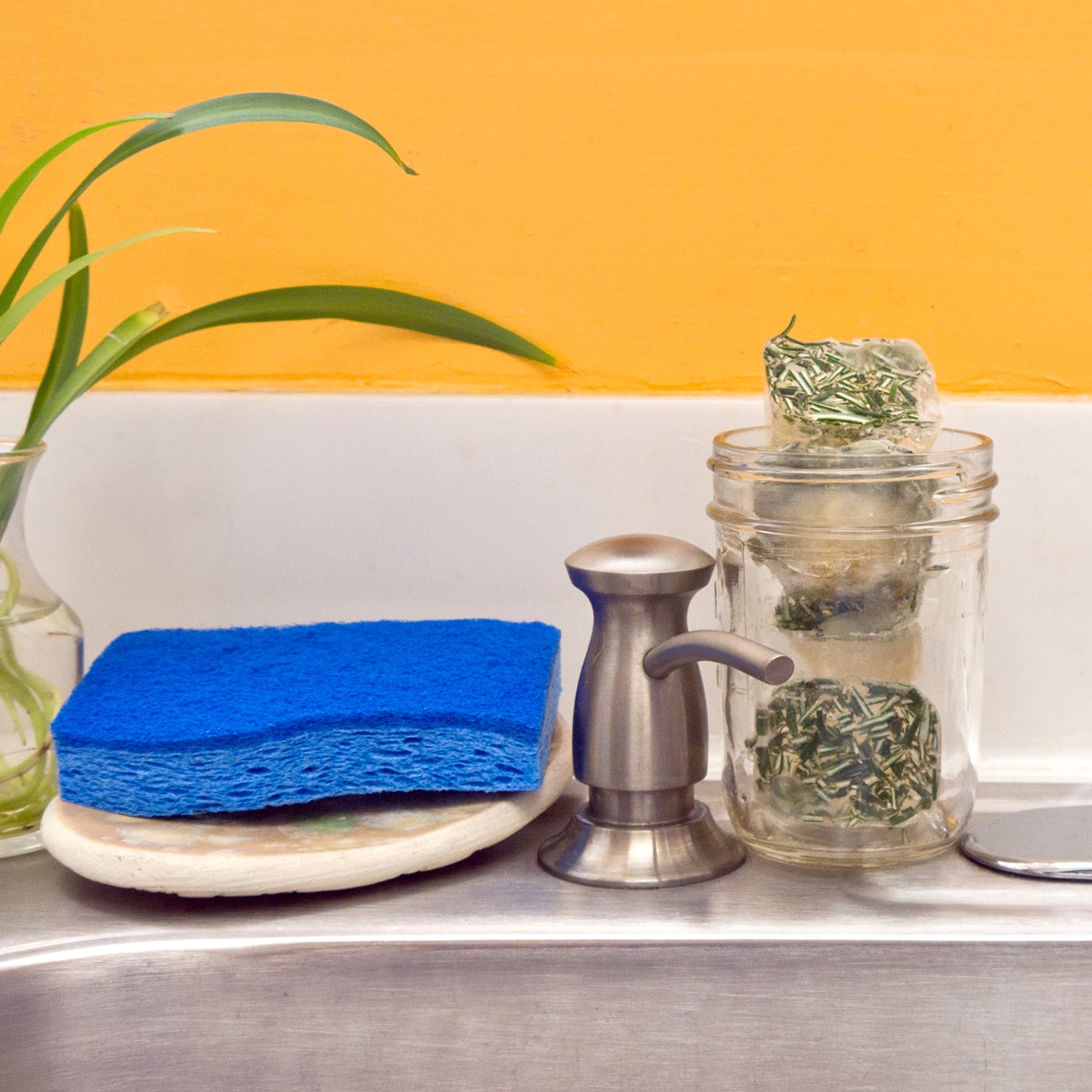 Frozen Rosemary Garbage Disposal Sharpeners POPSUGAR Smart Living