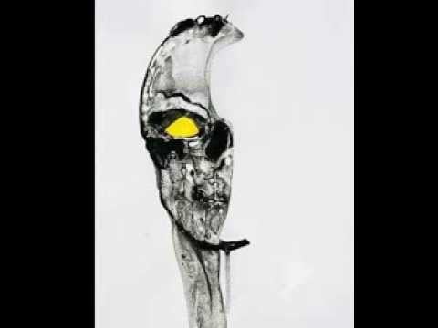 "Boogie Oogie Oogie" by A Taste of Honey