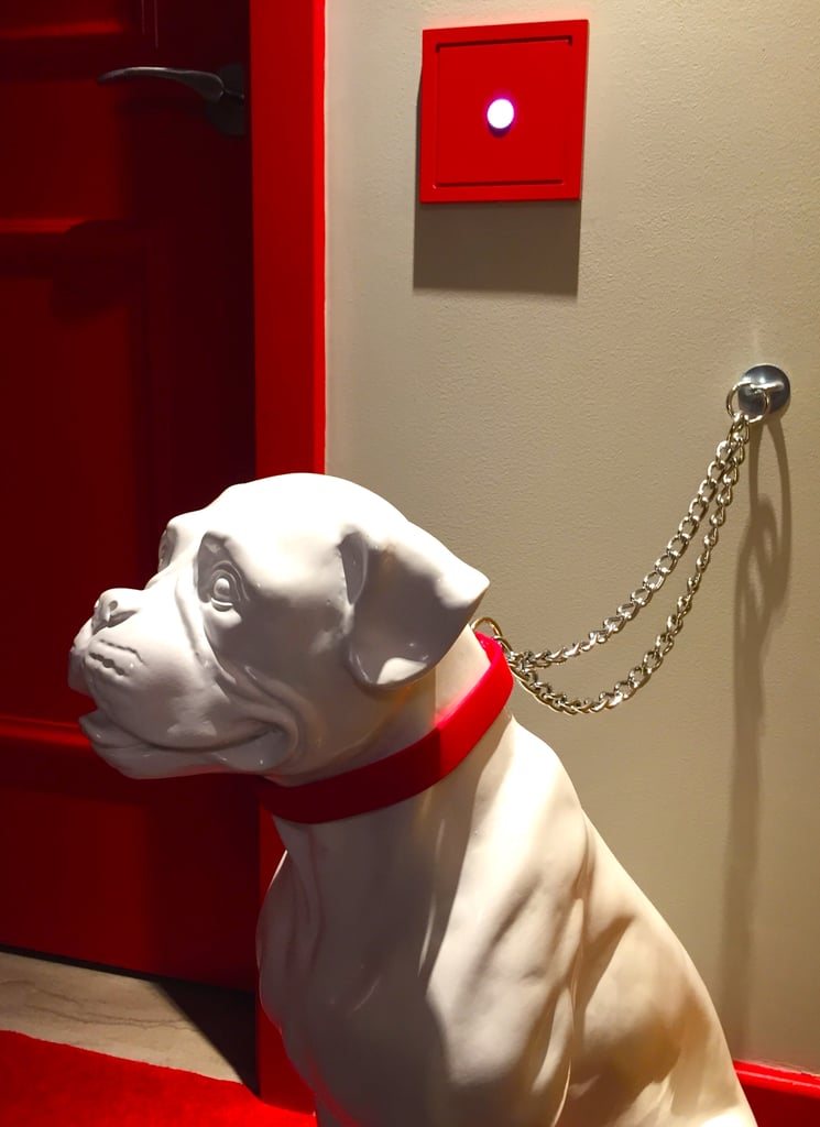 Dog Friendly