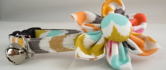 vibrant cat collar